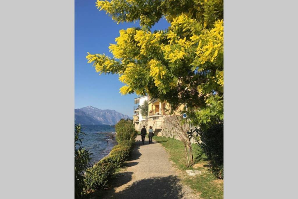 ברנצונה סול גארדה Villa Francesca-Grande Appartamento In Riva Al Lago מראה חיצוני תמונה